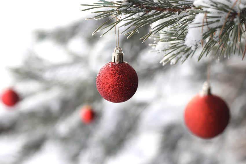 14 Delightful December Events in the Ann Arbor Area 2022